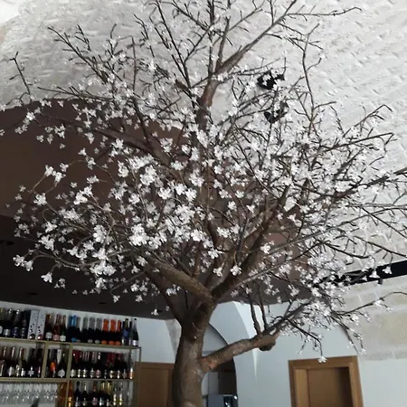 Feriehus Buze Luxury *